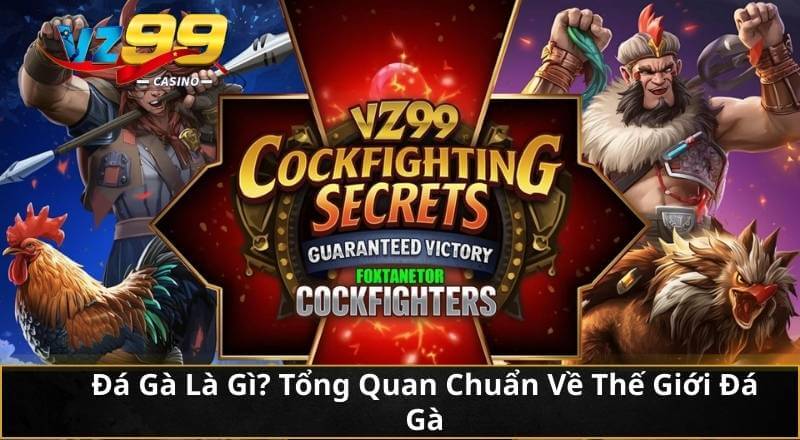 Đá Gà Là Gì? Tổng Quan Chuẩn Về Thế Giới Đá Gà