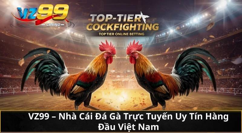VZ99 – Nhà Cái Đá Gà Trực Tuyến Uy Tín Hàng Đầu Việt Nam
